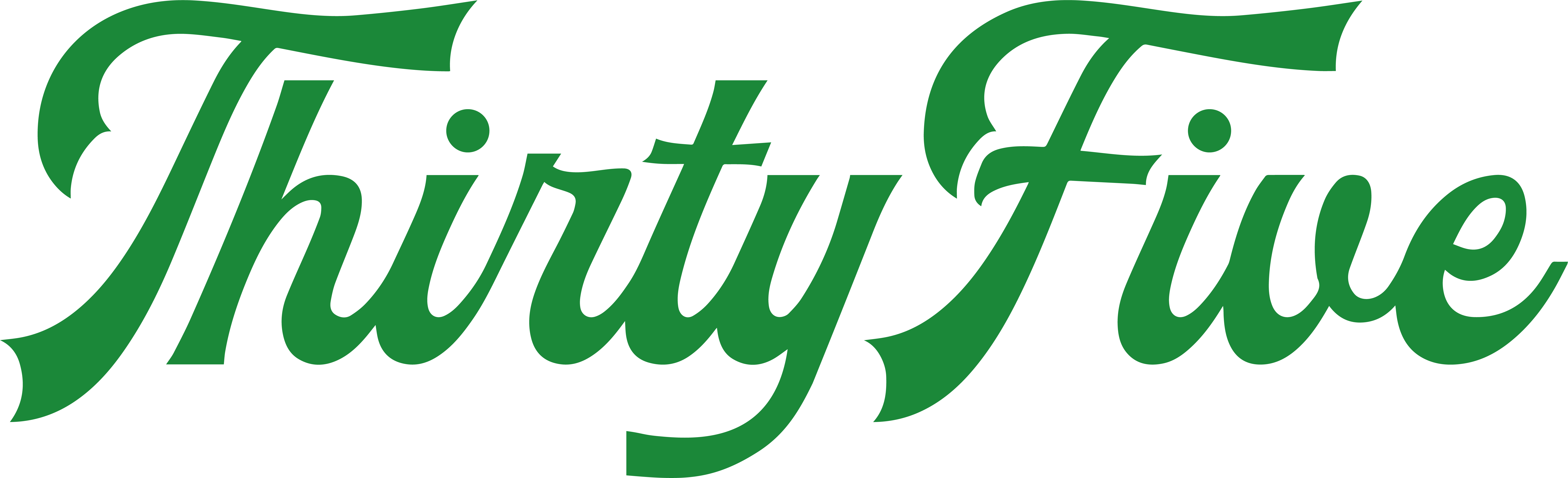 Thirty Five Fractional CTOs